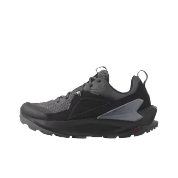 SALOMON Elixir Gtx 'Black Magnet' / L00