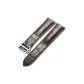 Silver Buckle Brown Leather