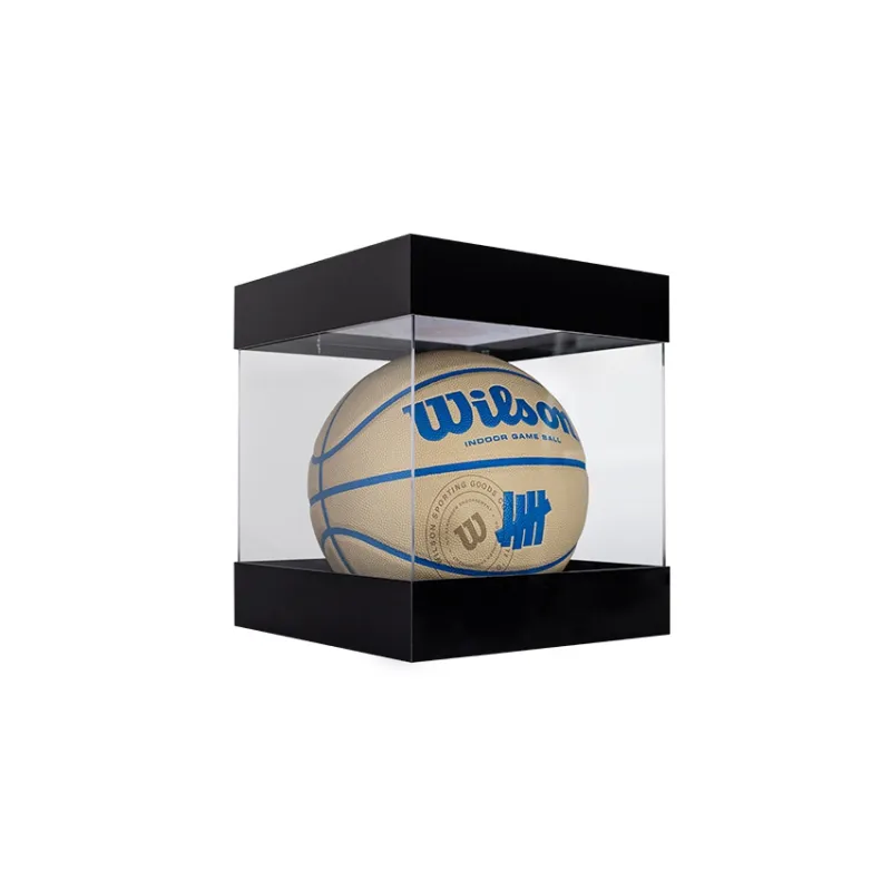 Wilson Basketball-1