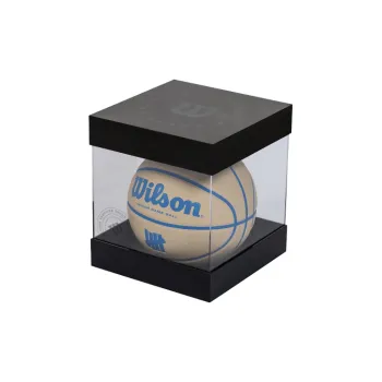 Wilson Basketball