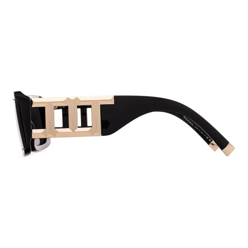 TIFFANY & CO. Rectangle Frame Sunglasses-2