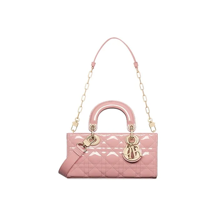 DIOR Lady D Joy Handbags-1