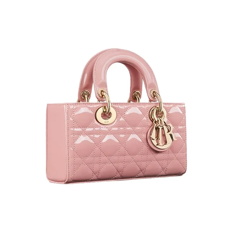 DIOR Lady D Joy Handbags-3