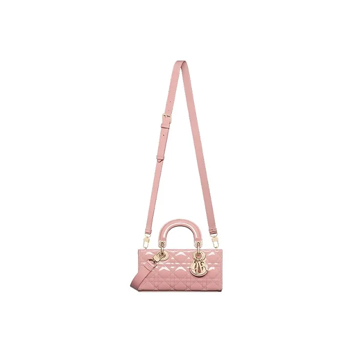 DIOR Lady D Joy Handbags-2
