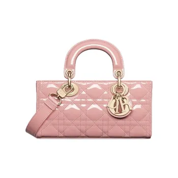 DIOR Lady D Joy Handbags