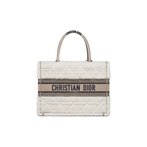 DIOR BookTote Handbags