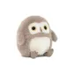 Barn Owl