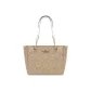 Bag+Dust Bag