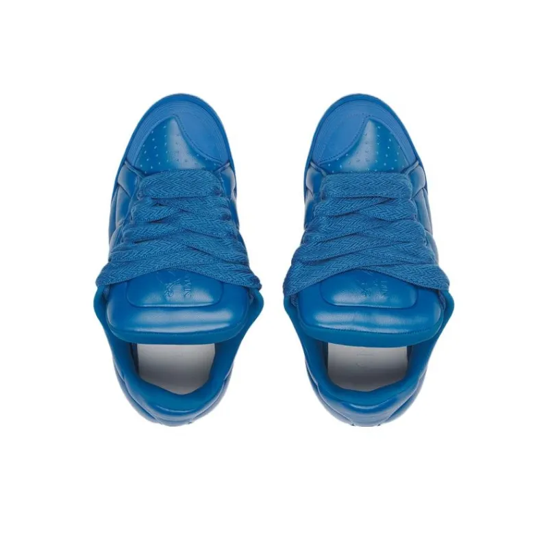 Lanvin Curb Low Top Skateboard Shoes Men's Blue-3