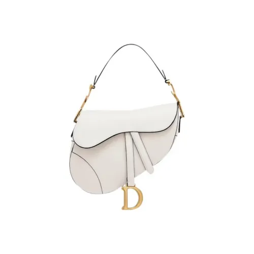 DIOR Saddle Handbags