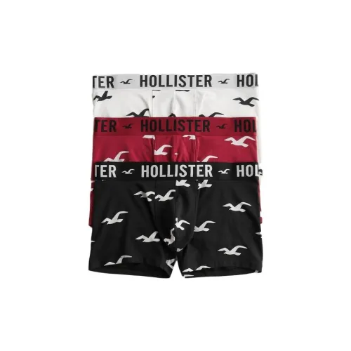 Hollister Men Underpants