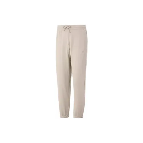 Adidas Knitted Sweatpants Men Beige