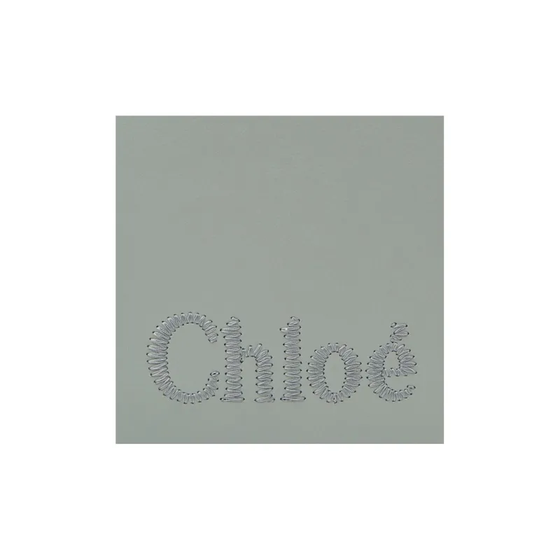 Chloe Shiny Calfskin Tote Bag, Shopping Bag, Handbag, Shoulder Bag, Crossbody Bag Mini Women's Green-4