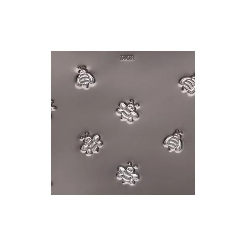 DIOR KAWS Collaboration Calfskin Clutch Men's Silver-3