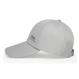 Silver Gray