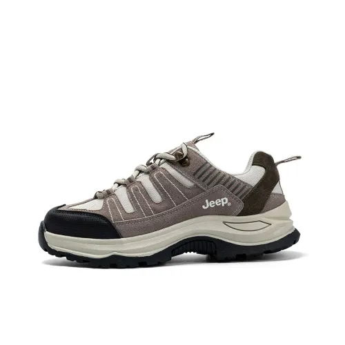 Jeep Chunky Sneakers Women's Low-Top Gray Brown