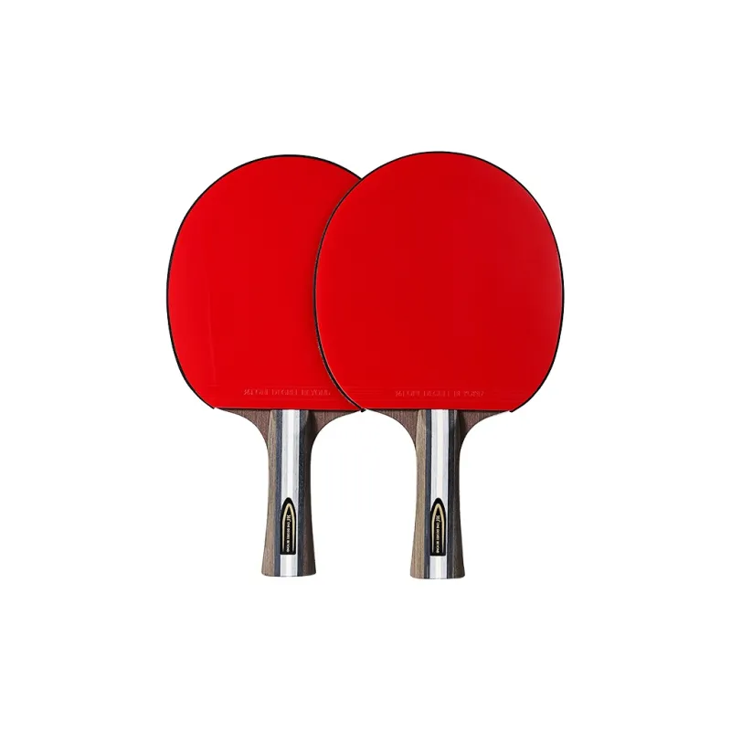 361° Ping Pong Paddles-4