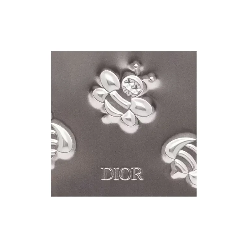 DIOR KAWS Collaboration Calfskin Card Holder Men's Black/Silver-2