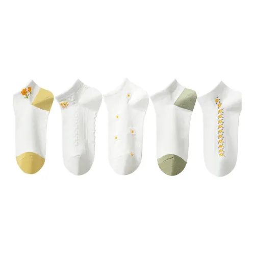 Lanza No Show Socks Women's 5 Pack