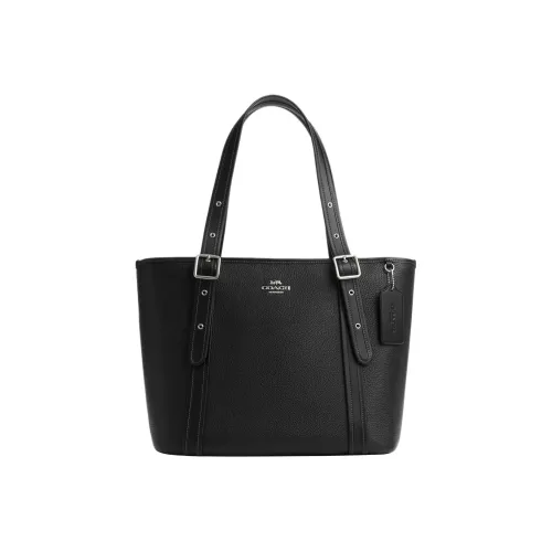 COACH Ashton Shoulder Bags