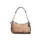 Bag+Dust Bag