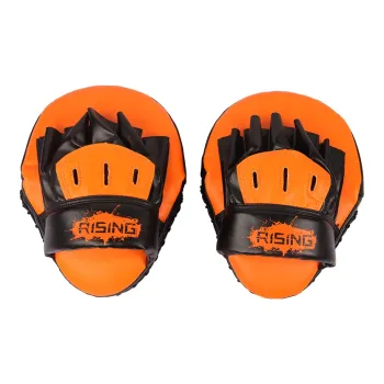 Ruisi Boxing Gloves
