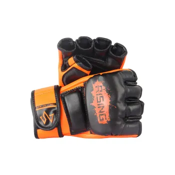 Ruisi Boxing Gloves