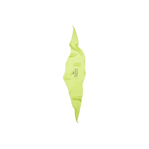 Acne Studios Silk Scarves Women's