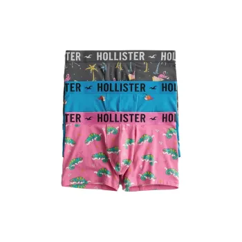Hollister Men Underpants
