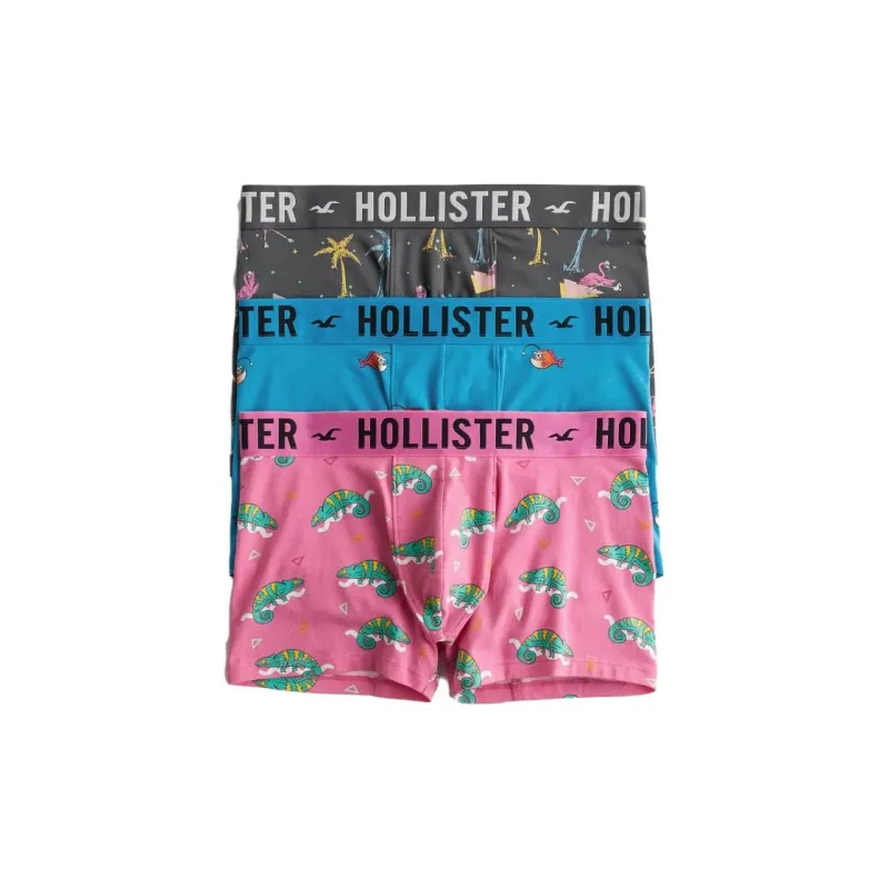 Hollister Men Underpants-0