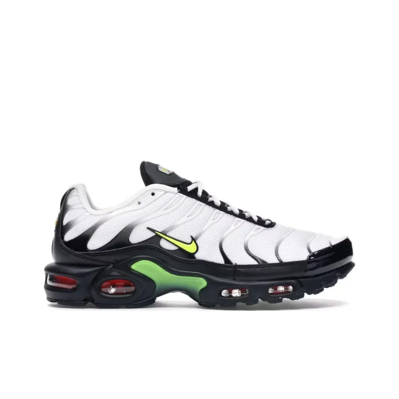 Nike Air Max Plus Retro Future-1