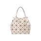 Bag+Dust Bag