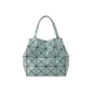 Bag+Dust Bag