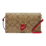 Bag+Dust Bag