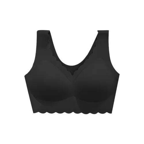 Lanza Women's Bras