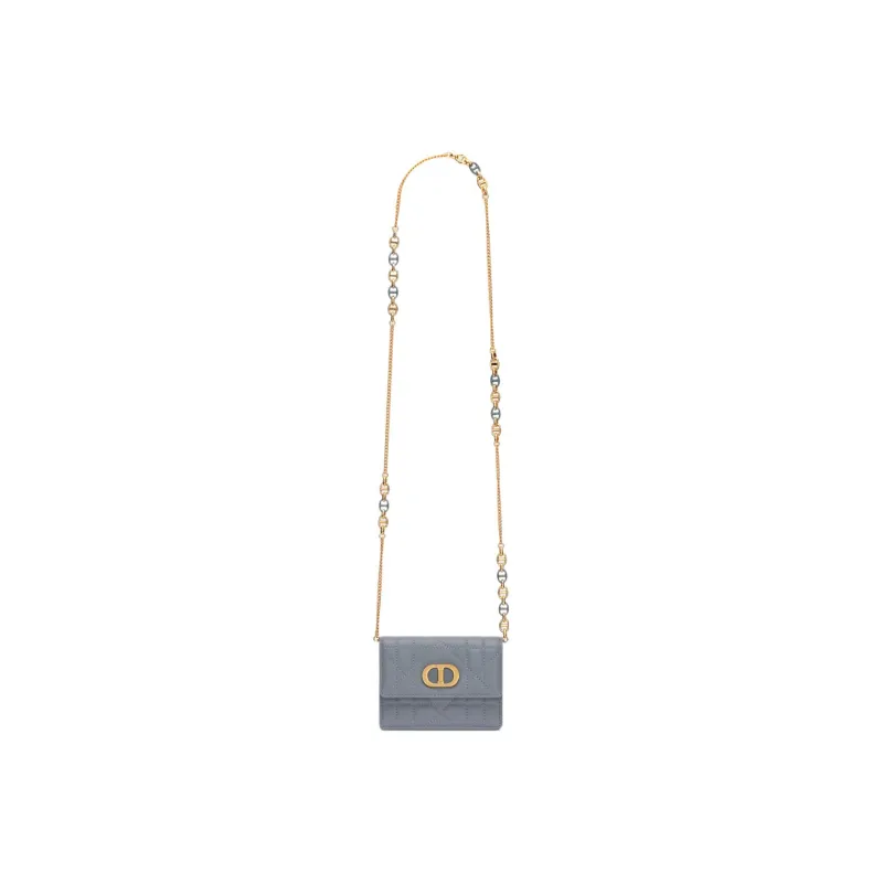 DIOR Caro Sheepskin Crossbody Bag Shoulder Bag Women's Powder Blue-3
