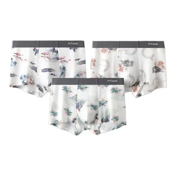 MIIOW Men Underpants