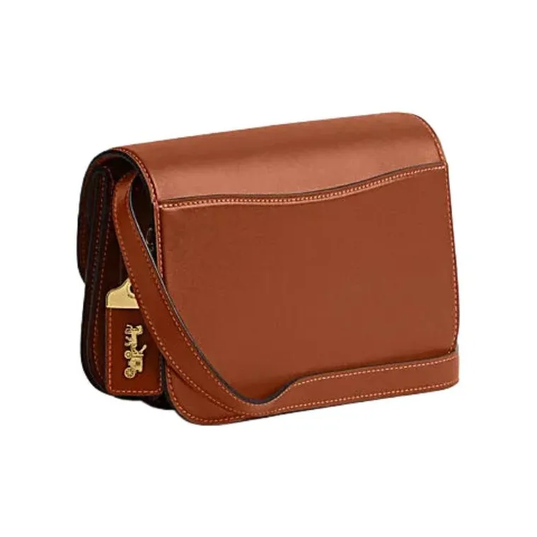 COACH Cow Leather Messenger Bag, One Shoulder Handbag Small Size Women's Brown-1