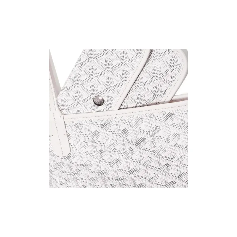 GOYARD Saint Louis Handbags-5