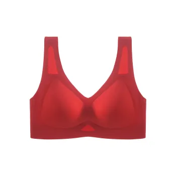 Lanza Women's Bras