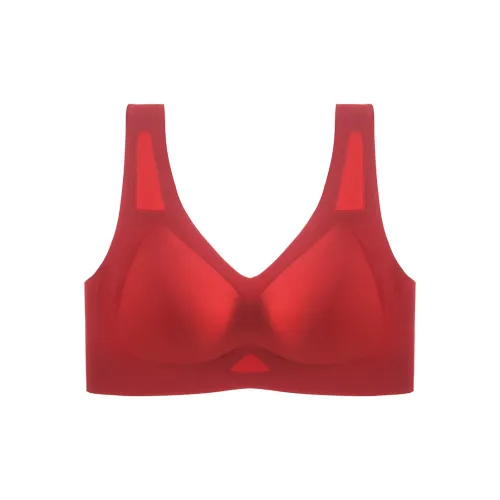 Lanza Women's Bras