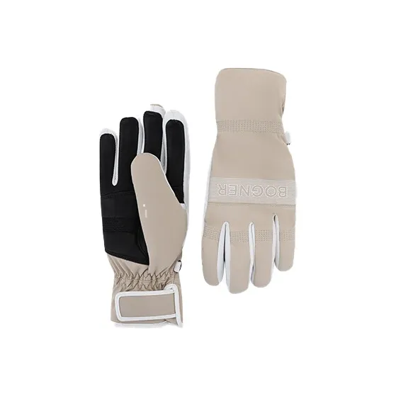 BOGNER Ski Gloves-2