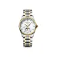 Mother-of-Pearl Color Watch Dial