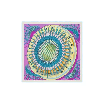 HERMES Silk Scarves Women's Purple/Blue