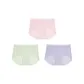 Light Peach Pink+Green Amla Color+Soft Gray Purple