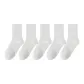 5 Pack (White)