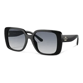 COACH Plate Frame Irregular Shape Sunglasses Women's Black