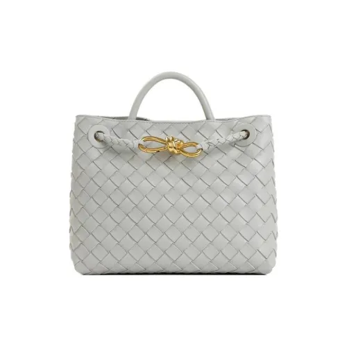 Bottega Veneta Andiamo Series Handbags