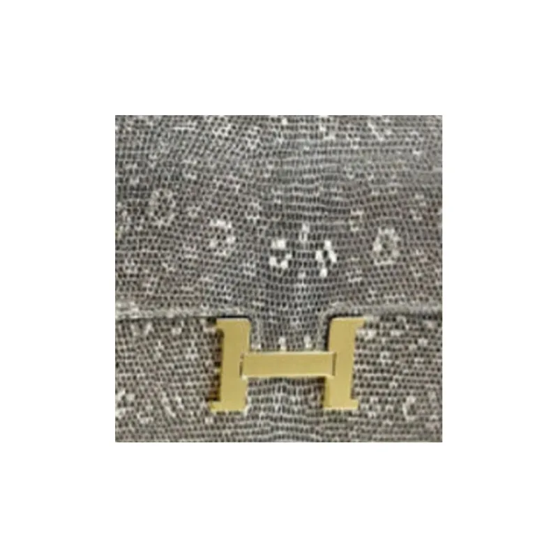 HERMES Lizard Skin Shoulder Bag Crossbody Bag Wallet Regular Women's Original-1