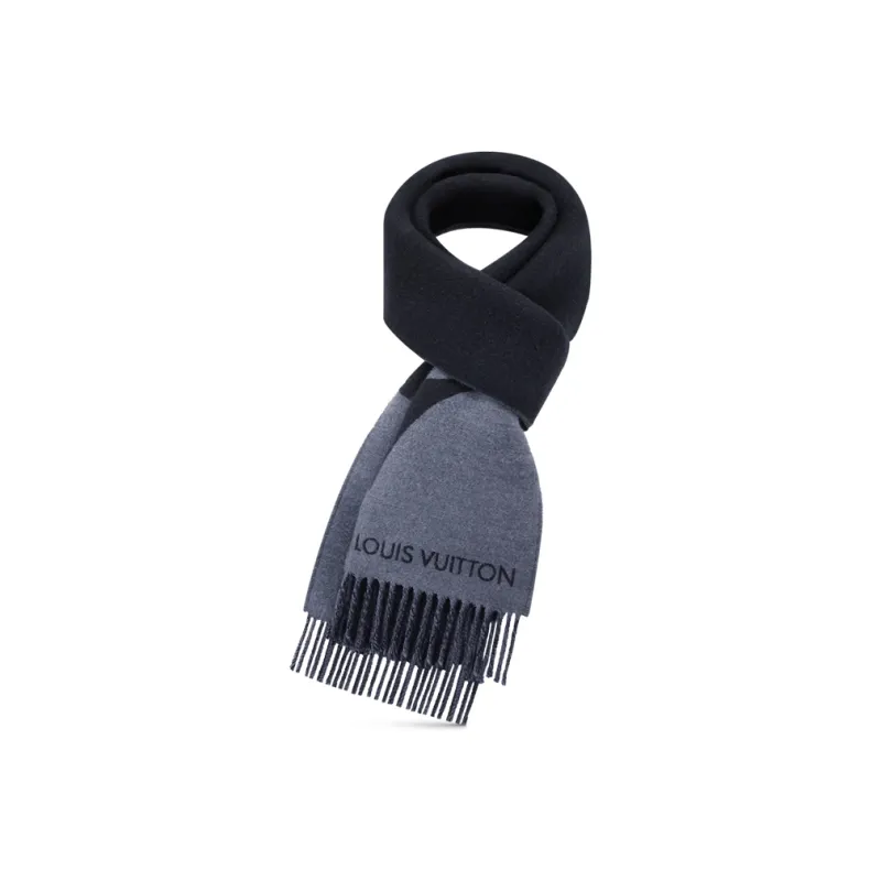 LOUIS VUITTON M79098 Graphic Dual Scarf-1